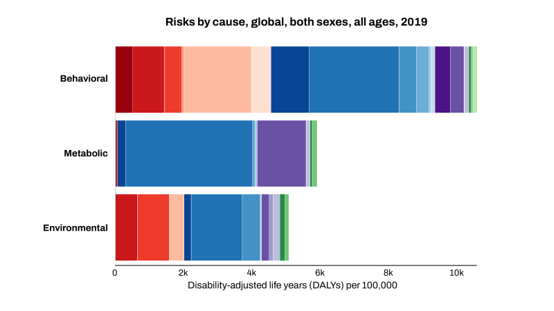 Global Burden Of Disease (GBD)